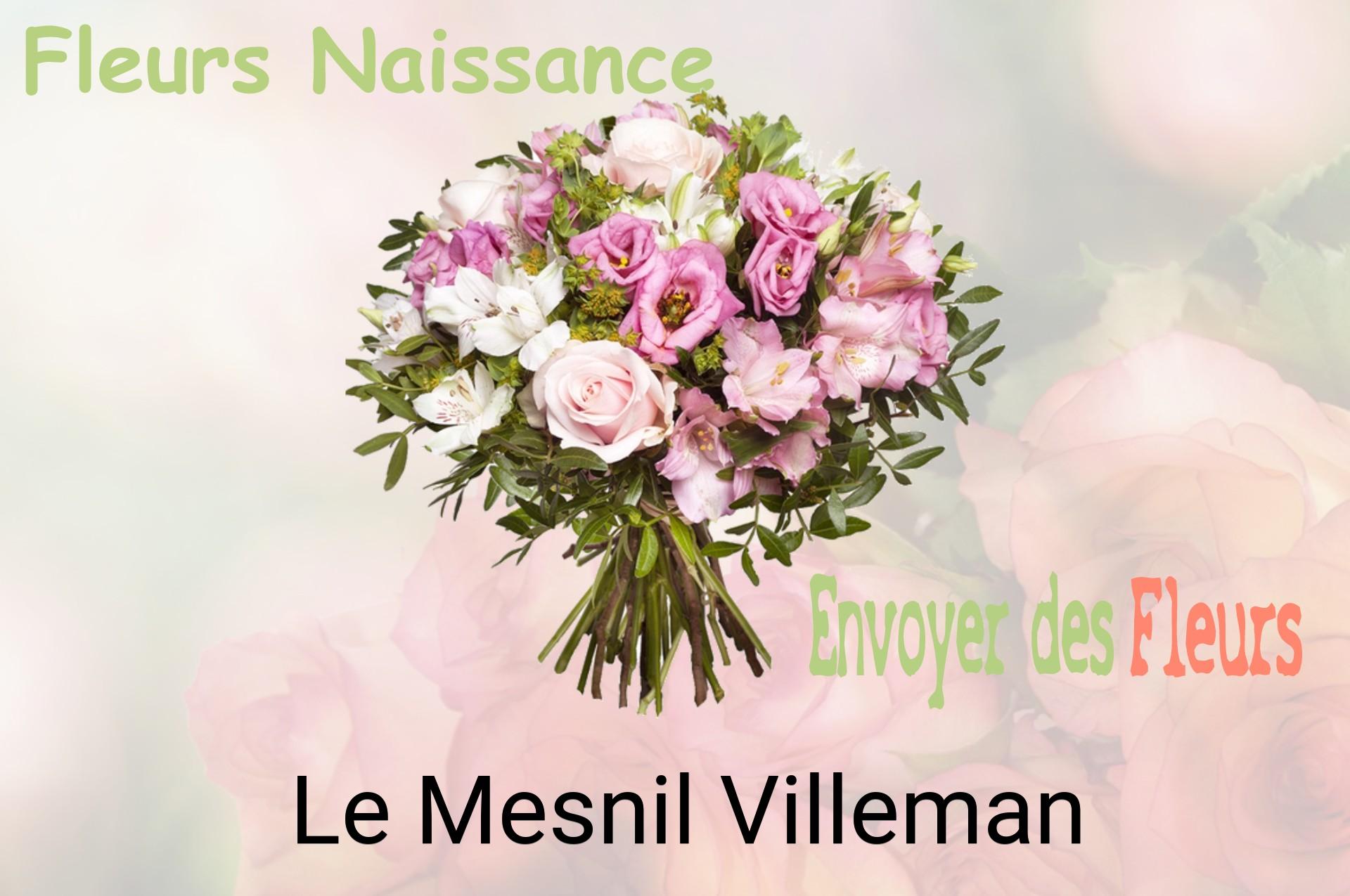 Bouquet de fleurs de naissance livré à Le Mesnil-Villeman